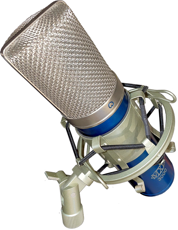 Blue vocal microphone suspended in a holder.